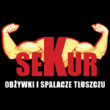 P.U.H. "SEKUR" JERZY SEKURA